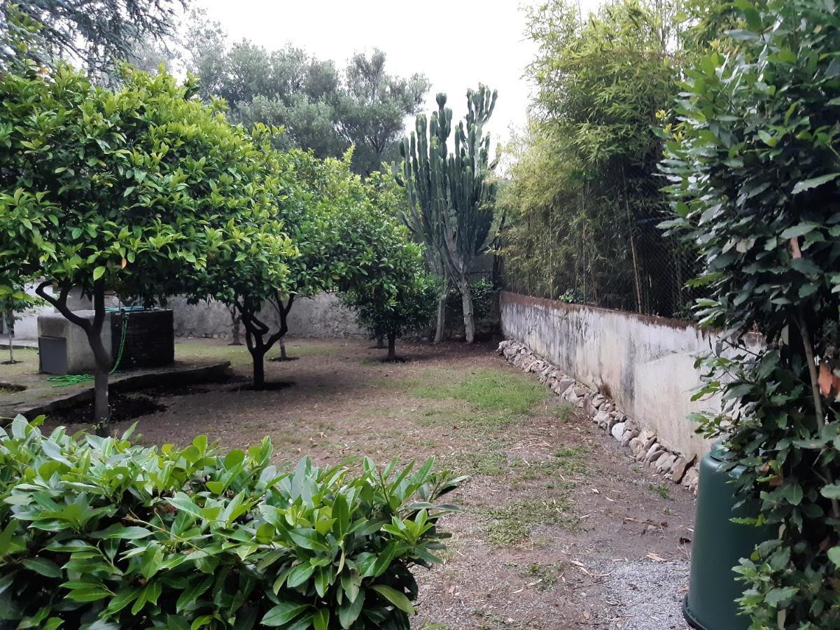 Villa Livia Villammare Buitenkant foto