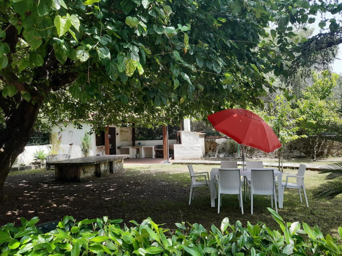 Villa Livia Villammare Buitenkant foto