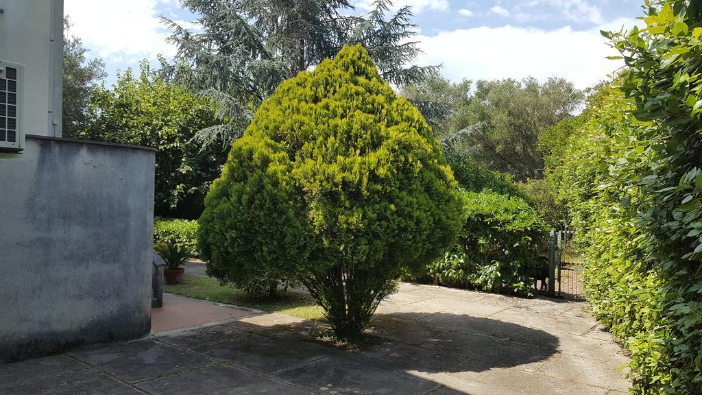 Villa Livia Villammare Buitenkant foto