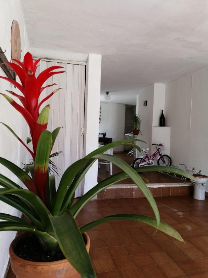 Villa Livia Villammare Buitenkant foto